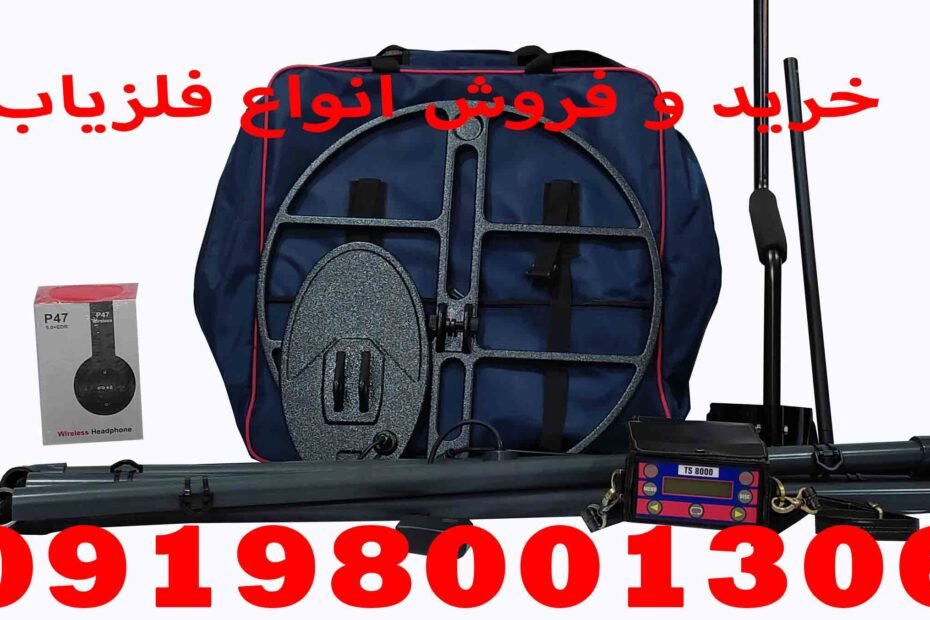 Metal detector ts8000 for sale
