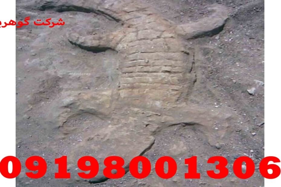 Crocodile sign in burial