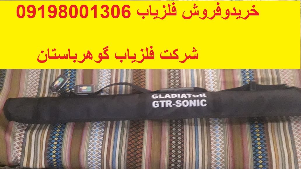 گنجیاب حرفه ای ts8000