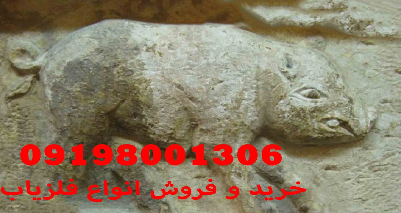 نماد خوک در دفینه