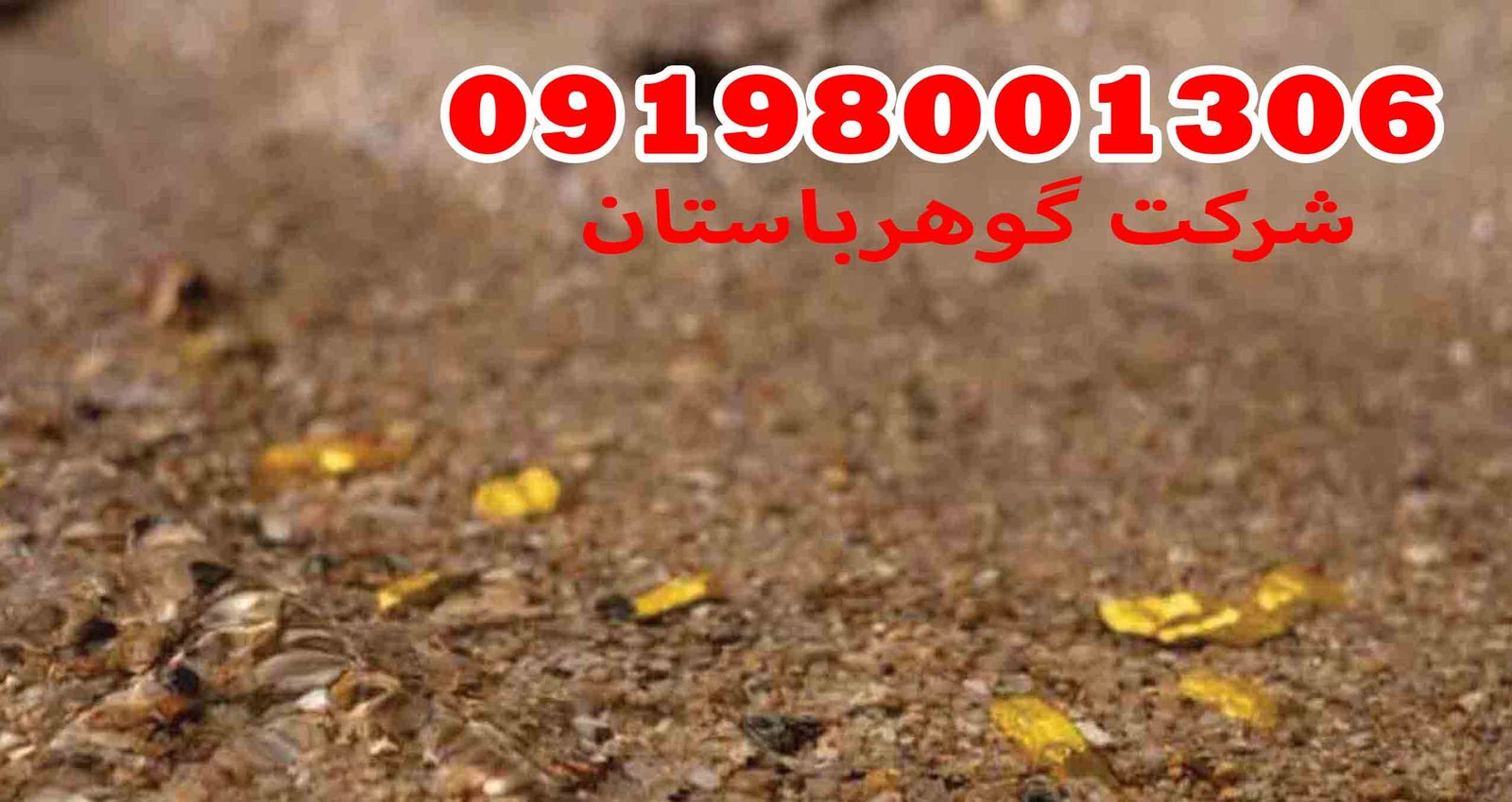 خرید اسکنر تصویری پروتون