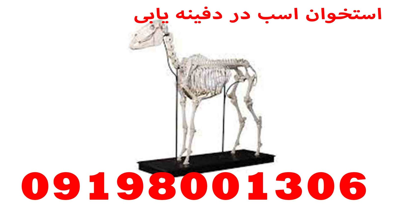 فلزیاب کوچک