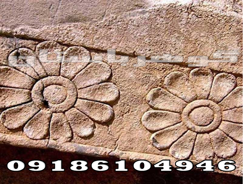 گل صابونی در دفینه