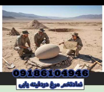 نمادتخم مرغ دردفینه یابی