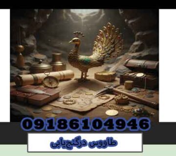 طاووس درگنج‌یابی