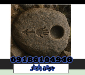 جوغن باردار