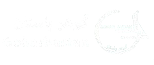 گوهر فلزیاب 1